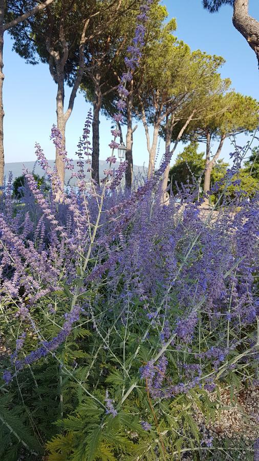La Colombaia Nel Castello Appartement Bracciano  Buitenkant foto